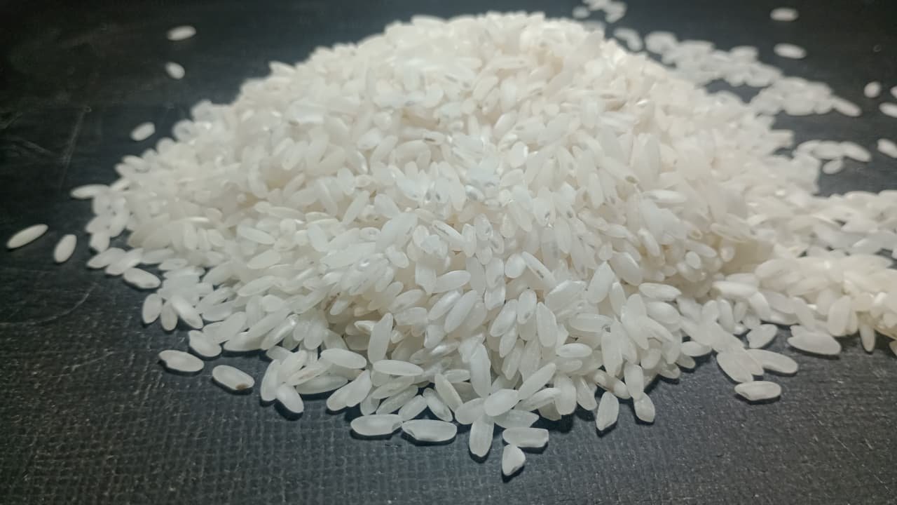 INFORME DEL MERCADO DE ARROZ